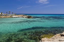Caletta ideale per snorkeling a Ayia Napa Cipro - © Pawel Kazmierczak / Shutterstock.com