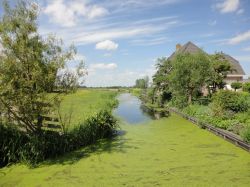 Campagne dello Zuid Holland intorno a Gouda