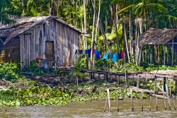 Capanne lungo il Rio delle Amazzoni nei dintorni di Manaus (Brasile) - © Keith Sherwood / Shutterstock.com