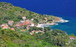 Capo Sant'Andrea forma un'insenatura paradisica lungo la costa nord-occidentale dell'Isola d'Elba, raggiungibile dalla strada che da Marciana conduce a Marina di Campo e caratterizzata ...