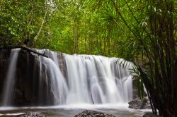 La cascata di Suoi Tranh waterfall: siamo nell'interno dell'isola di Phu Quoc Island, nel Vietnam - © Frank Fischbach / Shutterstock.com