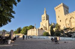 Cattedrale di notre Dame des Doms e Palazzo dei Papi di Avignone