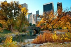 Autunno a Central Park di New York, Stati Uniti. ...