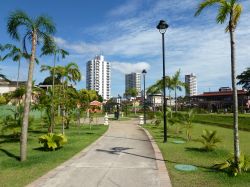 Clima Manaus: una rara giornata serena al parco Peres della città del Brasile settentrionale - © guentermanaus / Shutterstock.com