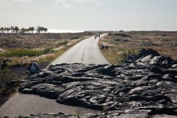 Isole Hawaii, USA: una colata lavica taglia una strada sull'Isola di Hawaii, la principale dell'arcipelago omonimo. Le eruzioni dei vulcani hawaiani non sono particolarmente pericolose: ...