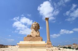 Colonna di pompeo ed una sfinge a Alessandria in Egitto. La colonna in realtà fu fatta erigere dall'Imperatore Diocleziano. La colonna in roccia granitica è alta ben 30 metri- ...
