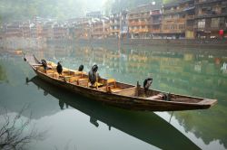 Cormorani da pesca, all'interno di una barca sul fiume, nei pressi di Guilin in Cina - © ievgen sosnytskyi / Shutterstock.com