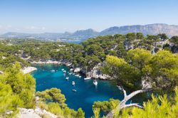 Costa Azzurra: il mare cristallino de Les Calanques, il Parco Nazionale che si estende tra Marsiglia, Cassis e La Ciotat in Francia - foto © Samuel Borges Photography / Shutterstock.com ...