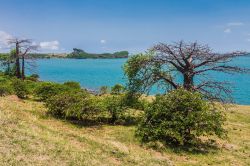 La costa nord del Madagascar a Antsiranana bay (Diego Suarez) - © Pierre-Yves Babelon / Shutterstock.com