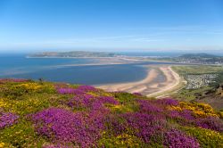 Le magiche coste del Galles del nord, il panorama che si può ammirare vicino a Conwy - © Gail Johnson / Shutterstock.com