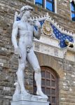 La statua del David di Michelangelo (copia) presente a  Firenze in Piazza della Signoria, davanti a Palazzo Vecchio, Toscana. Considerato da sempre l'ideale della bellezza maschile ...