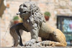 Una statua scolpita a forma di leone impreziosisce la fontana che troneggia nella piazza centrale di Assisi  - © alessandro0770 / Shutterstock.com