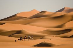 Dromedari in tour sulle dune di Merzouga. Anche se si tratta di un piccolo campo di Dune, l'Erg Chebbi del Marocco riesce comunque a comincare una senzazione di vastità e di luogo ...