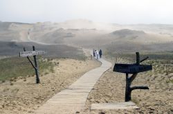 Le grandi dune di Sabbia di Nida, lungo il litorale sul Mar Baltico della Lituania - © Virginija Valatkiene / Shutterstock.com