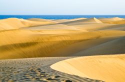 Le famose dune di sabbia a Maspalomas, Gran Canaria. Si trovano nel sud dell'isola, sullo sfondo si intravedono le acque blu dell'Oceano Atlantico - © Mette Brandt / Shutterstock.com ...