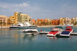 El Gouna, Mar Rosso: la Marina e gli eleganti resort di questa importante meta turistica dell' Egitto - © Andrei Nekrassov / Shutterstock.com