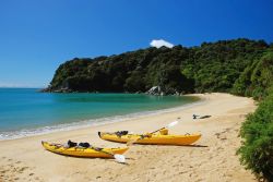 Escursione in Kayak, uno dei tour classici nel Parco Nazionale Abel Tasman in Nuova Zelanda - © Jiri Foltyn / Shutterstock.com