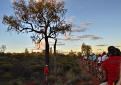 Escursione in dromedario a Ayers Rock (Uluru) nel centro dell'Australia - Una delle offerte turistiche più famose del Red Centre è il cosiddetto "Camel Tour", cioè ...