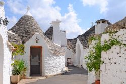 Escursione tra i Trulli Alberobello Puglia - © Annavee / Shutterstock.com