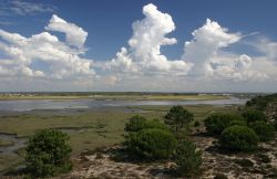 Estuario Rio Sado a Alcacer do Sal, Portogallo. Anticamente chiamato Sadao, questo fiume nasce nella Serra da Vigia a un'altitudine di 230 metri sul livello del mare; attraversa i territori ...