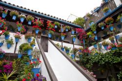 Cortili fioriti in Spagna per la Fiesta de los Patios di Cordova - © risquemo - Fotolia.com