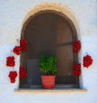 Finestra di una casa tipica a Pantelleria: immancabili i pomodori ed una pianta di basilico sul davanzale - © bepsy / shutterstock.com