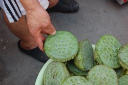 Fior di loto a Zhouzhuang in Cina: i semi vengono mangiati come delle brustoline