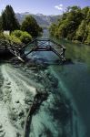 Fiume sulle Ande delle Patagonia Argentina, non lontano da Villa La Angostura - © Martin Balo / Shutterstock.com