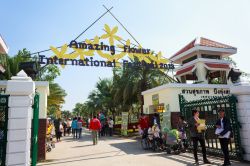 Flower Festival di Khon Kaen, in Thailandia - Un folto pubblico di spettatori in visita all'International Flower Festival che si svolge nella cittadina thailandese di Khan Koen: per l'occasione ...