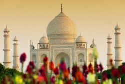 Il Taj Mahal al tramonto ad Agra in India - © Mikadun / Shutterstock.com
