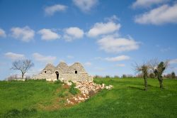 Fotografie campagne vicino Alberobello Puglia - © NanoStock / Shutterstock.com