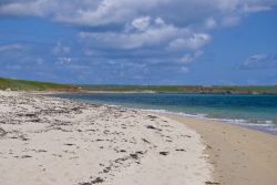 Una grande spiaggia sulle Isole Orcadi a nord della Scozia. I paesaggi del mare del Nord accolgono numerose specie marine e di uccelli, tanto che le Orcadi sono molto aprezzate per il birdwatching ...