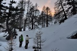 Guida Alpina accompagna dei turisti in un  trekking invernale a La Thuile, nelle Alpi Occidentali
