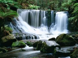 Horseshoe falls le belle cascate del Mt. Field National Park in Tasmania - © Leksele / Shutterstock.com
