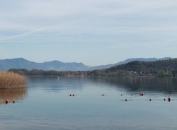 La costa di Lisanza fotografata dalla sponda di Dormelletto Ticino - © Liukpalla - CC BY-SA 4.0, Wikipedia