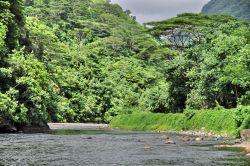 Il fiume Papenoo il piu grande di Tahiti e della Polinesia Francese