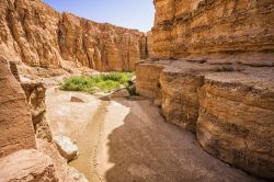 Fotografia del magnifico Canyon di Tamerza, formato darocce sedimentarie, nel cuore della Tunisia - © Marques / Shutterstock.com