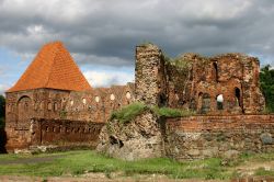 Il Castello di Torun, la citta natale di Copernico si trova in Polonia - © Bogdan Serban / Shutterstock.com