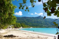 Il mare cristallino di Beau Vallon Seychelles  - © chbaum / Shutterstock.com