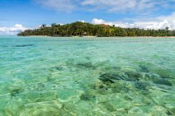 Il mare cristallino di Nosy Boraha (Île Sainte-Marie) in Madagascar, un paradiso per gli appassionati di snorkeling ed immersioni - © Pierre-Yves Babelon / Shutterstock.com