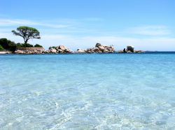 Il mare turchese della spiaggia della Palombaggia Porto Vecchio Corsica - © Myrtilleshop / Shutterstock.com
