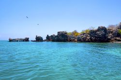 Il mare turchese di mafia, la famosa isola della Tanzania - © Kjersti Joergensen / Shutterstock.com