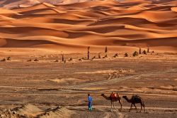 Il meraviglioseo mare di sabbia Erg Chebbi: siamo nel Sahara del Marocco, vicino a Merzouga. Nonostante le apparenze questo è uno degli Erg più piccoli del deserto del Sahara, ...