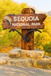 L'ingresso del Parco Nazionale Sequoia - Kings Canyon negli USA - © Cedric Weber / Shutterstock.com