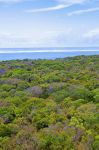 Interno dell'isola di Mafia in Tanzania - © Kjersti Joergensen / Shutterstock.com