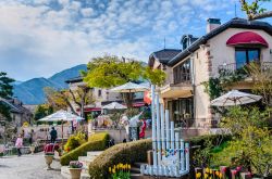 Kawaguchiko Music Forest, siamo nella zona del Monte Fuji, Prefettura di Yamanashi in Giappone - © Korkusung / Shutterstock.com 