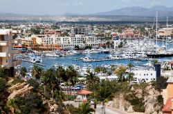 La marina ed il centro di Cabo San Lucas  In Baja California nel nord-ovest del Messico - © gary718 / Shutterstock.com