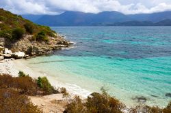 Veduta dall'alto di Spiaggia Saleccia, Corsica - un mare cristallino e quasi "caraibico" immerso tra le terre selvagge del Deserto delle Agriate, un territorio quasi inesplorato ...