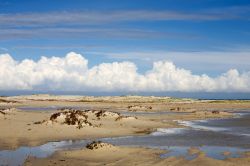 Lagune costiere nell'isola di Djerba Tunisa - © Irina Fischer / Shutterstock.com