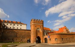 Le mura e la porta d'accesso al centro storico di Turonia, in Polonia - © Neirfy / Shutterstock.com